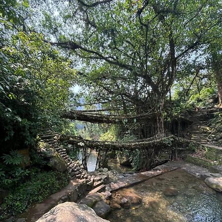 Odyssey Stays Nongriat - 3Kms Trek From Main Road تشيرابونجي المظهر الخارجي الصورة