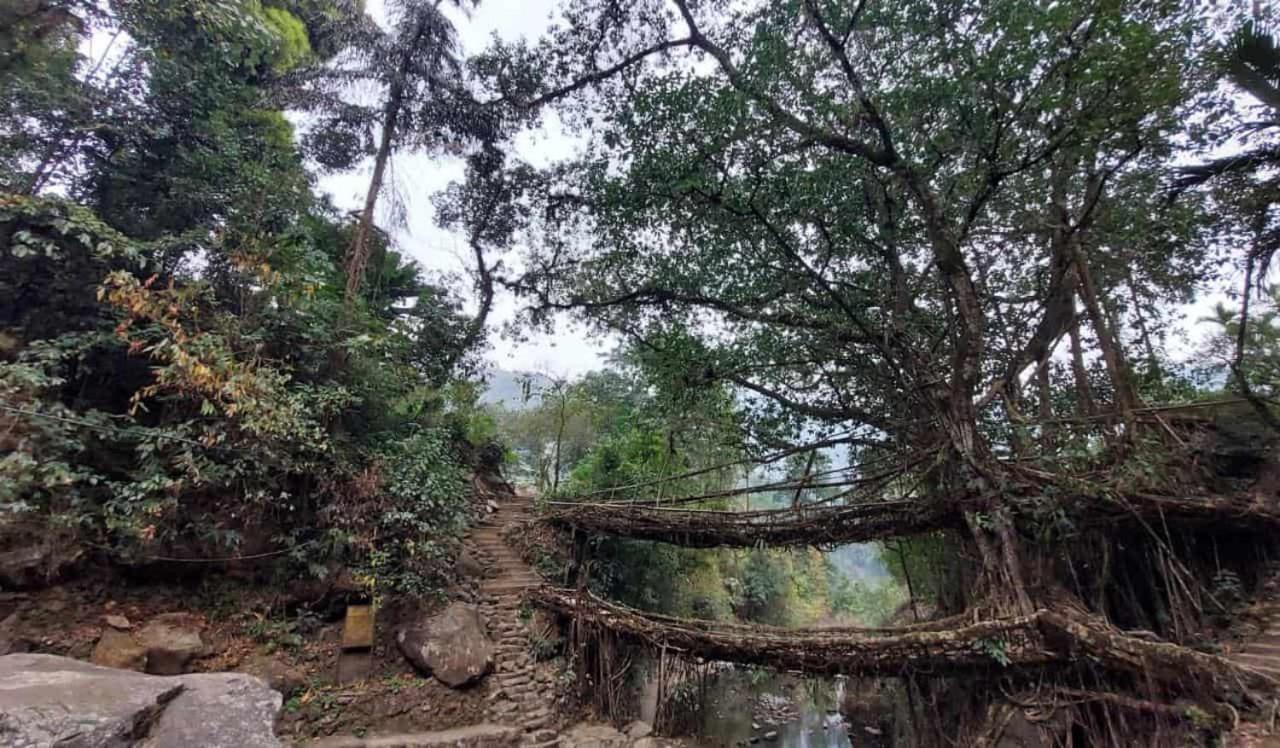 Odyssey Stays Nongriat - 3Kms Trek From Main Road تشيرابونجي المظهر الخارجي الصورة