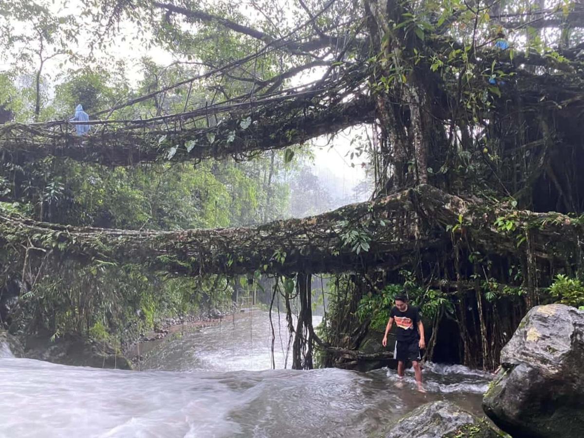 Odyssey Stays Nongriat - 3Kms Trek From Main Road تشيرابونجي المظهر الخارجي الصورة