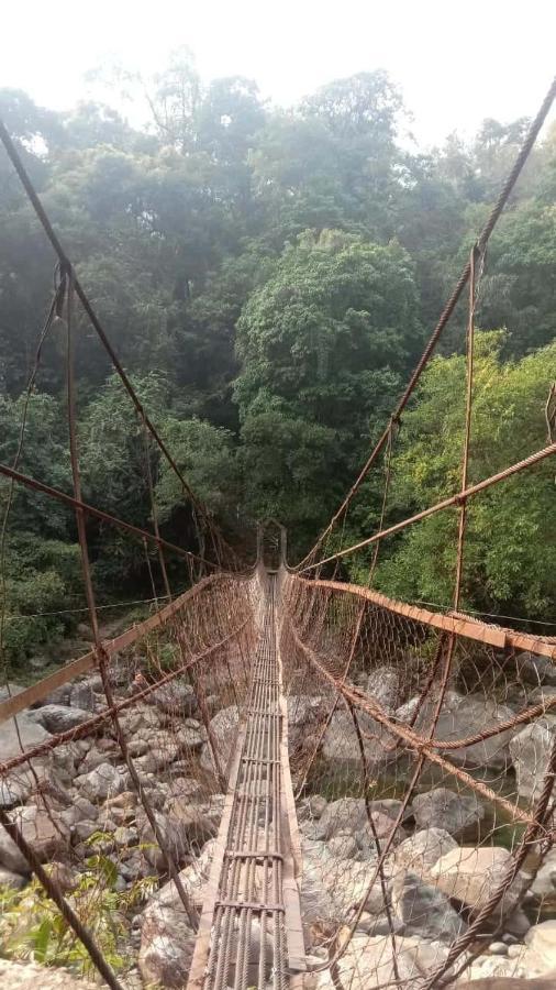 Odyssey Stays Nongriat - 3Kms Trek From Main Road تشيرابونجي المظهر الخارجي الصورة
