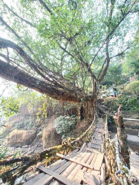 Odyssey Stays Nongriat - 3Kms Trek From Main Road تشيرابونجي المظهر الخارجي الصورة
