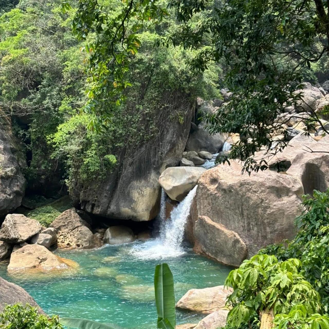 Odyssey Stays Nongriat - 3Kms Trek From Main Road تشيرابونجي المظهر الخارجي الصورة